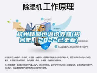 知識百科杭州精密恒溫培養箱(報名吧，2022已更新)