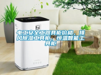 知識百科電工安全工器具柜價格，排風除濕工具柜，恒溫智能工具柜