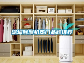 企業新聞深圳除濕機熱門品牌推薦