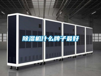 企業(yè)新聞除濕機什么牌子最好
