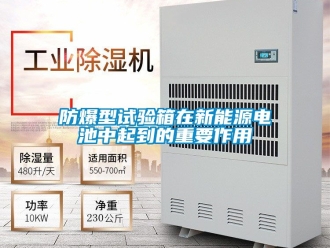 企業(yè)新聞防爆型試驗(yàn)箱在新能源電池中起到的重要作用