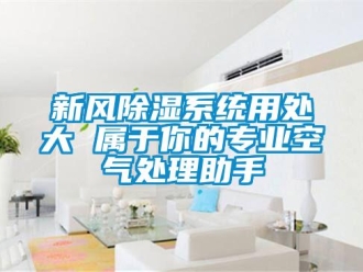 知識百科新風除濕系統用處大 屬于你的專業空氣處理助手