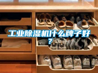 常見問題工業除濕機什么牌子好？