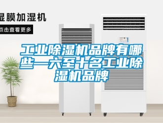 常見問題工業(yè)除濕機(jī)品牌有哪些—六至十名工業(yè)除濕機(jī)品牌