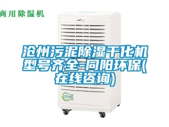 企業新聞滄州污泥除濕干化機型號齊全-同陽環保(在線咨詢)
