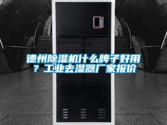 企業(yè)新聞德州除濕機(jī)什么牌子好用？工業(yè)去濕器廠家報(bào)價(jià)