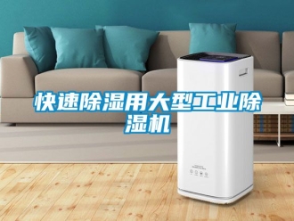 常見問題快速除濕用大型工業(yè)除濕機