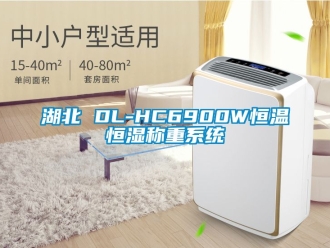 知識百科湖北 DL-HC6900W恒溫恒濕稱重系統