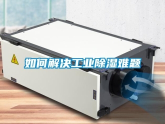 常見問題如何解決工業除濕難題
