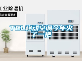 常見問題TCL移動空調今年火了一把
