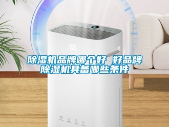 企業(yè)新聞除濕機(jī)品牌哪個(gè)好 好品牌除濕機(jī)具備哪些條件
