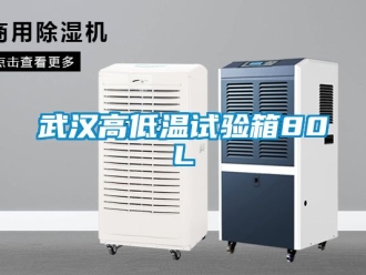 常見(jiàn)問(wèn)題武漢高低溫試驗(yàn)箱80L