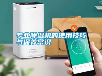 知識百科專業(yè)除濕機的使用技巧與保養(yǎng)常識