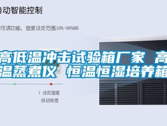 知識(shí)百科高低溫沖擊試驗(yàn)箱廠家 高溫蒸煮儀 恒溫恒濕培養(yǎng)箱