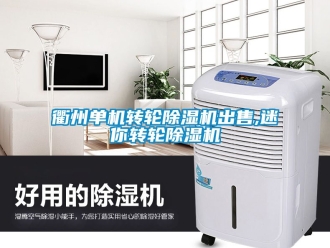 常見問題衢州單機轉輪除濕機出售,迷你轉輪除濕機