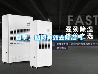 常見問題夏季，如何有效去除濕氣