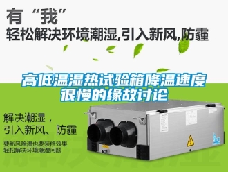 常見(jiàn)問(wèn)題高低溫濕熱試驗(yàn)箱降溫速度很慢的緣故討論