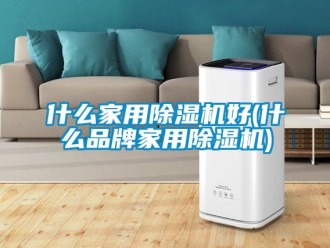 企業(yè)新聞什么家用除濕機好(什么品牌家用除濕機)