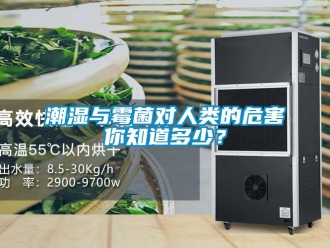 企業新聞潮濕與霉菌對人類的危害你知道多少？