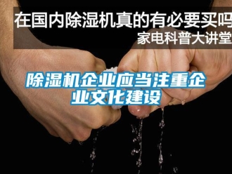 企業(yè)新聞除濕機企業(yè)應(yīng)當(dāng)注重企業(yè)文化建設(shè)