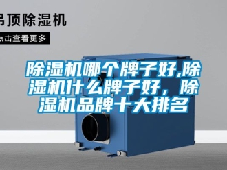 企業(yè)新聞除濕機(jī)哪個(gè)牌子好,除濕機(jī)什么牌子好，除濕機(jī)品牌十大排名