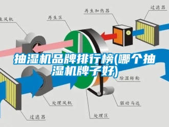 企業(yè)新聞抽濕機(jī)品牌排行榜(哪個(gè)抽濕機(jī)牌子好)