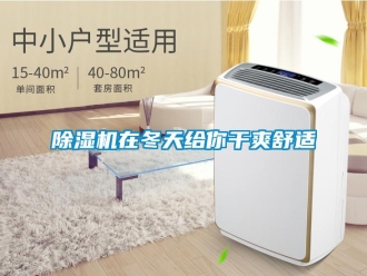 企業(yè)新聞除濕機在冬天給你干爽舒適