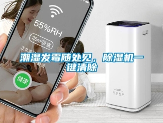 企業新聞潮濕發霉隨處見，除濕機一鍵清除