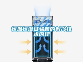 知識百科恒溫恒濕試驗箱的制冷技術原理