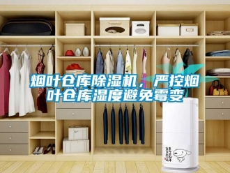 知識(shí)百科煙葉倉(cāng)庫(kù)除濕機(jī)，嚴(yán)控?zé)熑~倉(cāng)庫(kù)濕度避免霉變