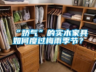 常見問題“嬌氣”的實木家具如何度過梅雨季節？
