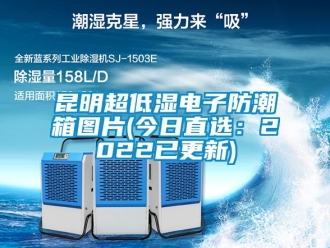 常見問題昆明超低濕電子防潮箱圖片(今日直選：2022已更新)