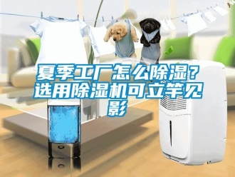 常見問題夏季工廠怎么除濕？選用除濕機可立竿見影
