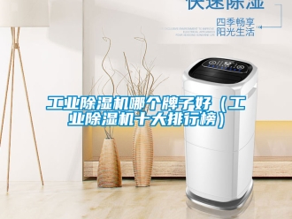 常見問題工業(yè)除濕機(jī)哪個牌子好（工業(yè)除濕機(jī)十大排行榜）