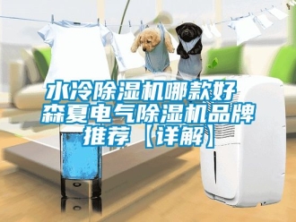 企業(yè)新聞水冷除濕機哪款好 森夏電氣除濕機品牌推薦【詳解】