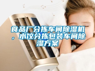 知識(shí)百科食品廠分揀車間除濕機(jī)，水餃分揀包裝車間除濕方案