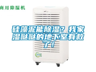 企業(yè)新聞硅藻泥能除濕？我家濕噠噠的地下室有救了！