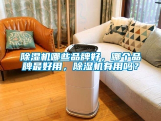 企業新聞除濕機哪些品牌好，哪個品牌最好用，除濕機有用嗎？