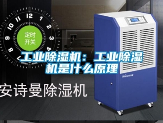 常見問題工業除濕機：工業除濕機是什么原理