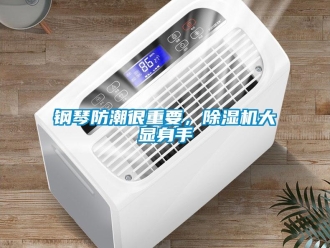 企業(yè)新聞鋼琴防潮很重要，除濕機(jī)大顯身手