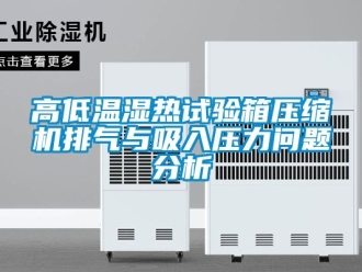 常見(jiàn)問(wèn)題高低溫濕熱試驗(yàn)箱壓縮機(jī)排氣與吸入壓力問(wèn)題分析