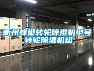 常見問題衢州蜂巢轉(zhuǎn)輪除濕機型號,轉(zhuǎn)輪除濕機組