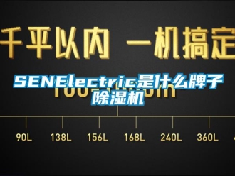 企業(yè)新聞SENElectric是什么牌子除濕機