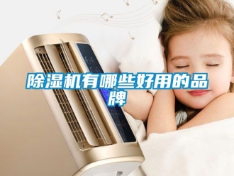 企業新聞除濕機有哪些好用的品牌