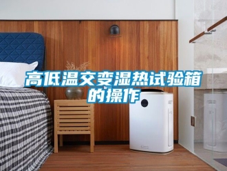 常見問(wèn)題高低溫交變濕熱試驗(yàn)箱的操作
