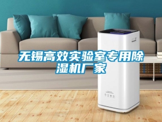 企業(yè)新聞無錫高效實驗室專用除濕機廠家