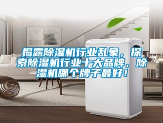 企業新聞揭露除濕機行業亂象，探索除濕機行業十大品牌，除濕機哪個牌子最好！