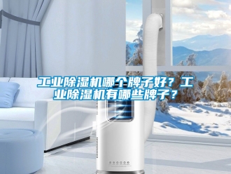 常見問題工業除濕機哪個牌子好？工業除濕機有哪些牌子？