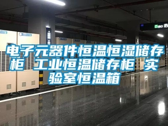 知識(shí)百科電子元器件恒溫恒濕儲(chǔ)存柜 工業(yè)恒溫儲(chǔ)存柜 實(shí)驗(yàn)室恒溫箱
