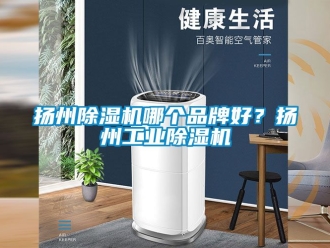 常見問題揚州除濕機哪個品牌好？揚州工業除濕機